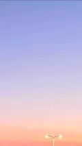 薄雲　フォロバ100